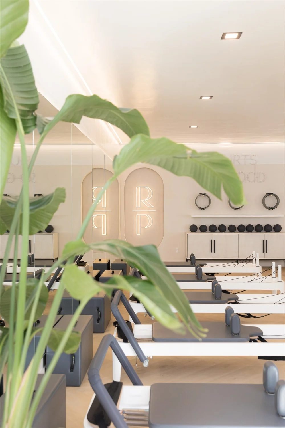 Reformer room with arched logo niches and a plant